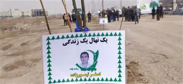 کاشت ۱۲ اصله نهال در مراغه به یاد اهداکنندگان عضو