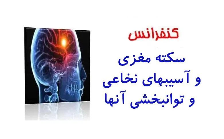 کنفرانس یک روزه سکته مغزی و آسیبهای نخاعی و توانبخشی آنها