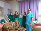 انجام اولین زایمان بی درد به روش اپیدورال در بیمارستان شهید بهشتی مراغه